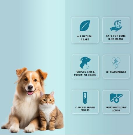 Natural Remedies Hep N sure Tablets for Dogs and Cats — in use