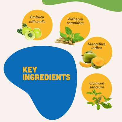 Natural Remedies Immunities Bites for Dogs — back view