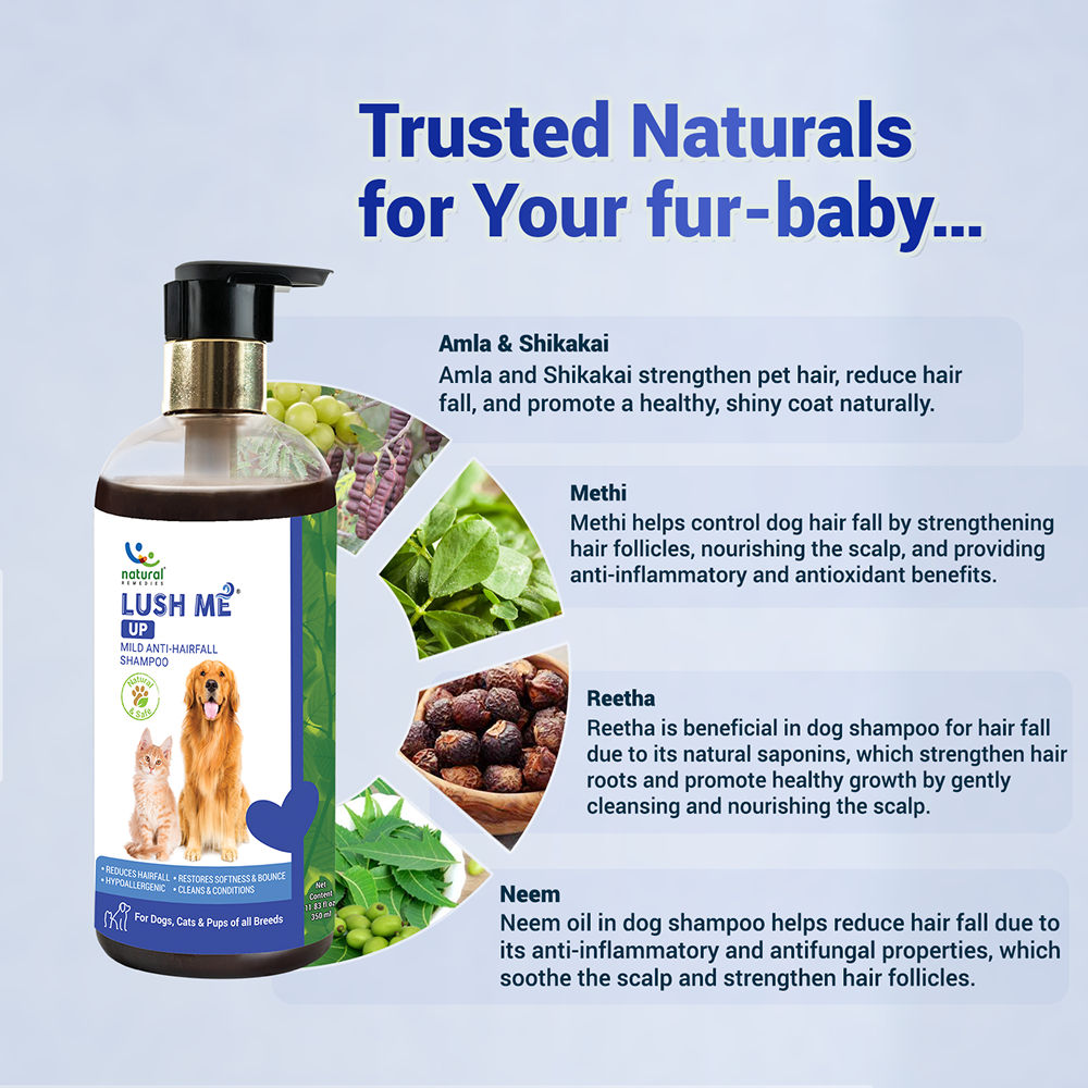Natural Remedies Lush Me Up Anti Hairfall Shampoo for Dogs and Cats — in use