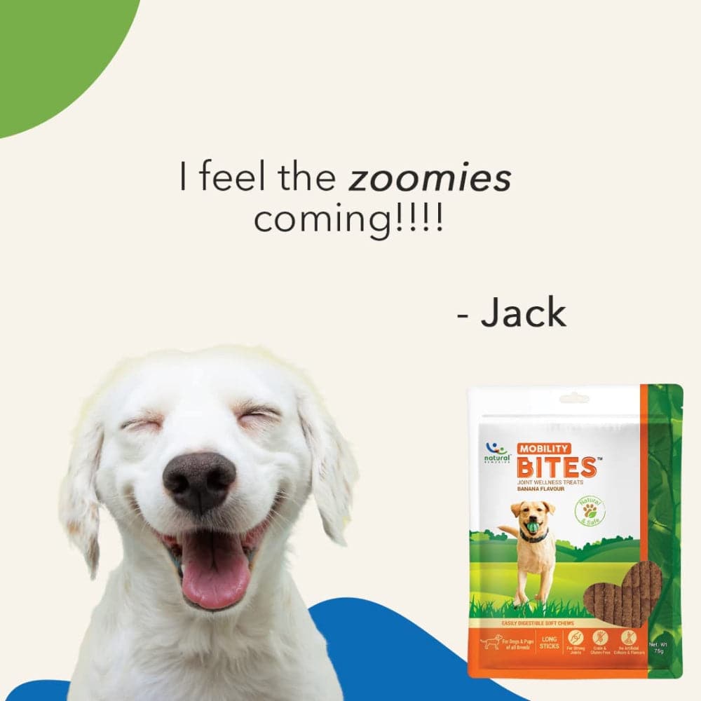 Natural Remedies Mobility Bites Chew Treats for Dogs — in use