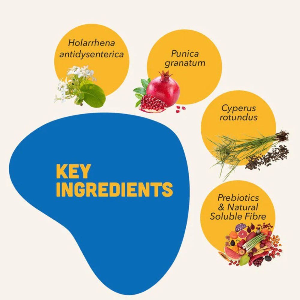 Natural Remedies Natgut Digestive Tablets for Dogs and Cats — back view
