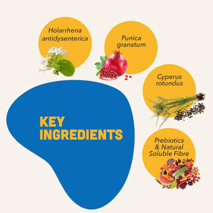 Natural Remedies Natgut Digestive Tablets for Dogs and Cats — back view