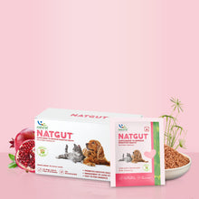 Natural Remedies Natgut Granules 4 2 Gms Sachet Supplement For Cats And Dogs - Image 5