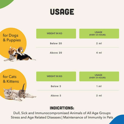 Natural Remedies Natlife Energy & Immunity Supplement Paste for Dogs and Cats — in use
