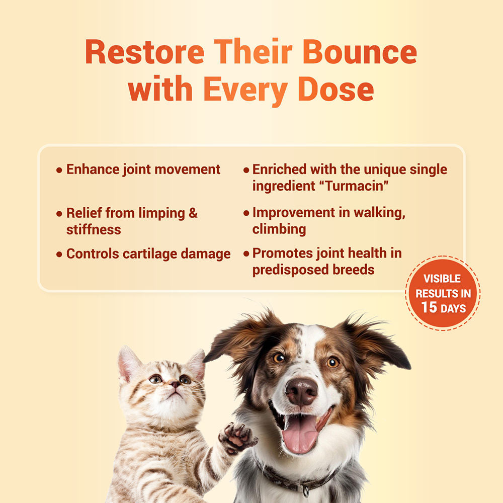 Natural Remedies Orthoron Joint Supplement Tablets for Dogs and Cats — side view