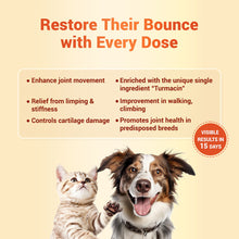 Natural Remedies Orthoron Joint Supplement Tablets For Pets - Image 2