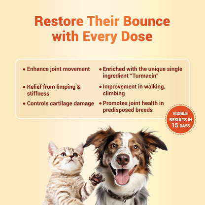 Natural Remedies Orthoron Joint Supplement Tablets for Dogs and Cats — side view
