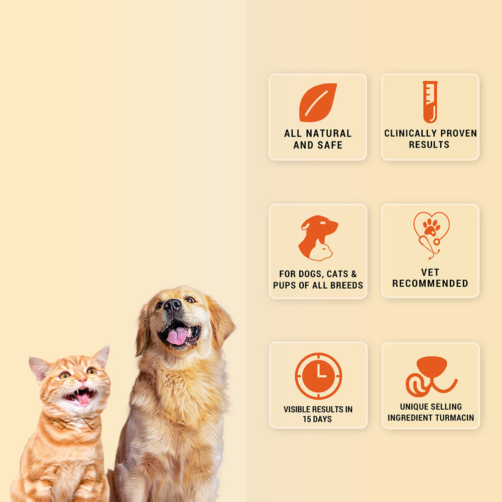 Natural Remedies Orthoron Joint Supplement Tablets for Dogs and Cats — back view
