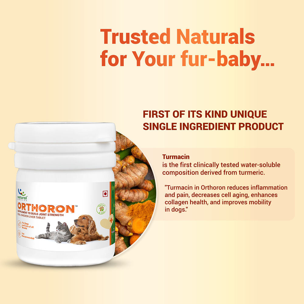 Natural Remedies Orthoron Joint Supplement Tablets for Dogs and Cats — detail shot