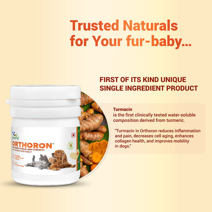 Natural Remedies Orthoron Joint Supplement Tablets for Dogs and Cats — detail shot