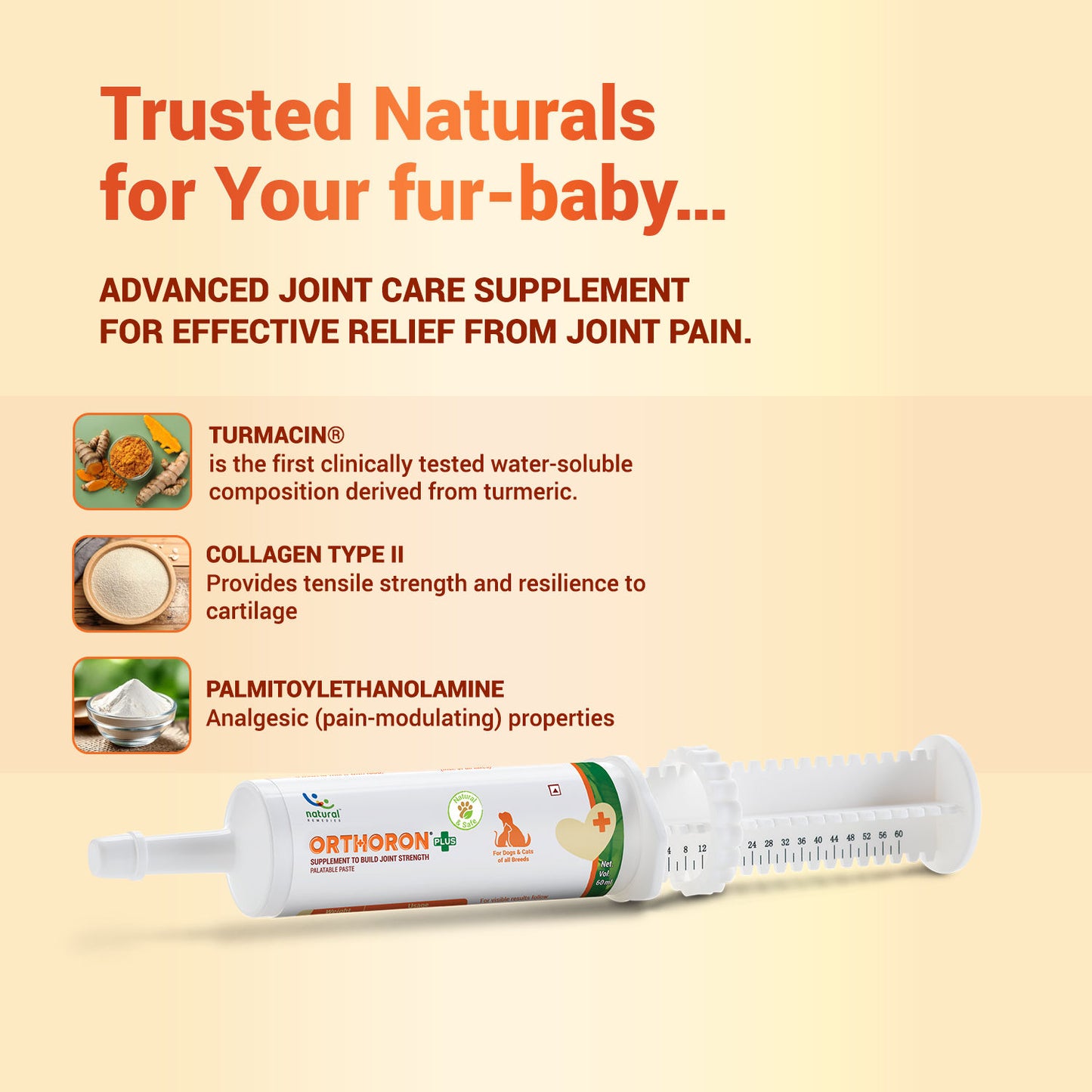 Natural Remedies Orthoron Plus Joint Supplement Paste for Dogs and Cats — side view