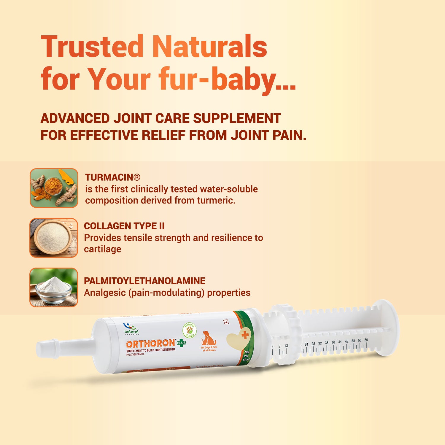 Natural Remedies Orthoron Plus Joint Supplement Paste for Dogs and Cats — side view