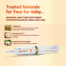 Natural Remedies Orthoron Plus Joint Supplement Paste For Dogs And Cats - Image 2