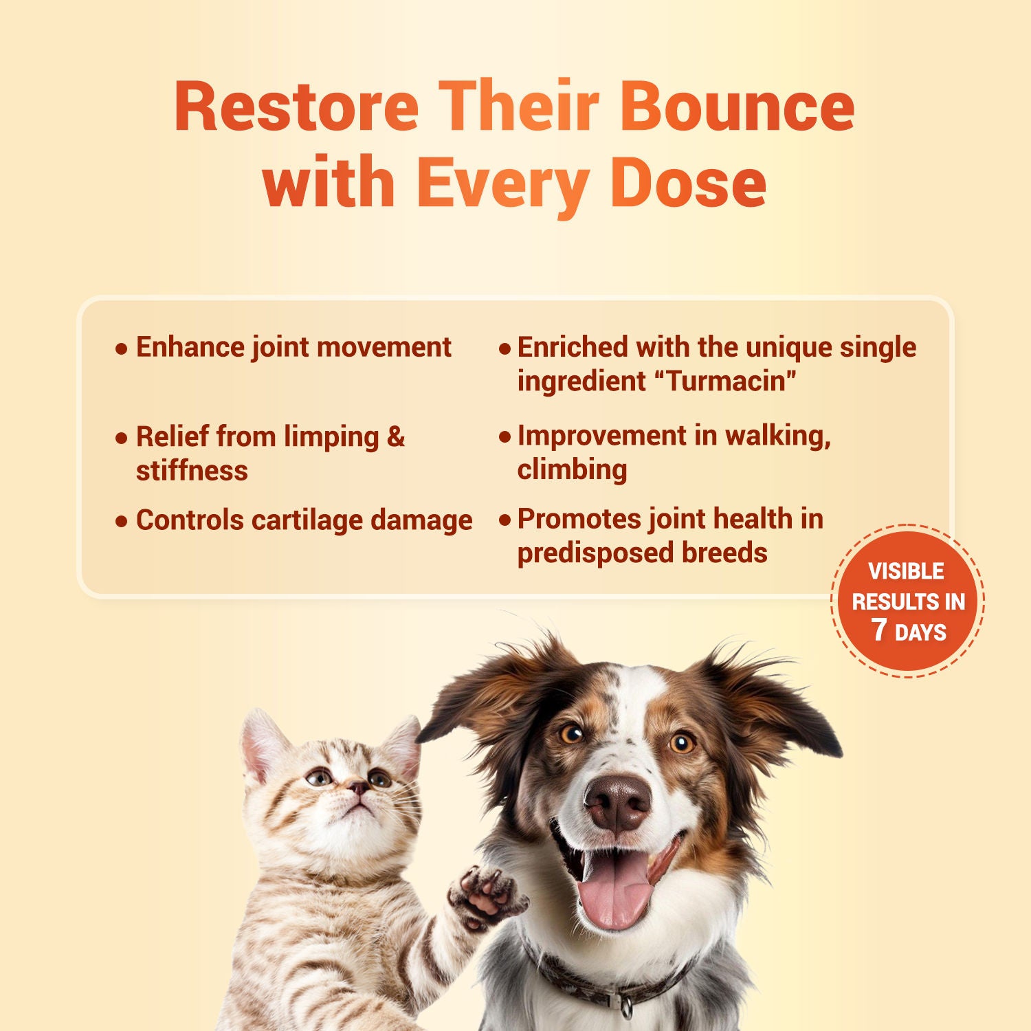 Natural Remedies Orthoron Plus Joint Supplement Paste for Dogs and Cats — in use