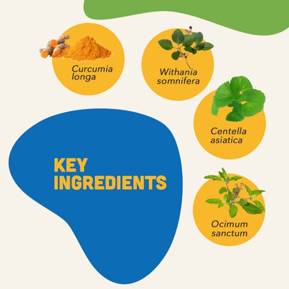 Natural Remedies Smart Bites Chew Treats for Dogs — detail shot