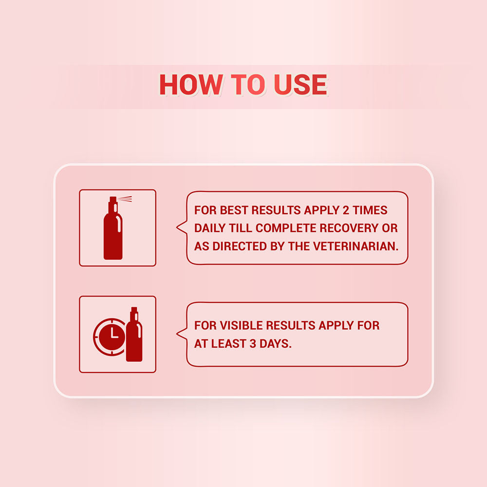 Natural Remedies Topicure Pet Wound Healing Spray for Dogs and Cats — in use