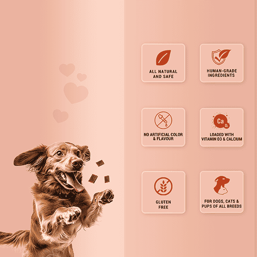 Natural Remedies Treat O'Clock Chicken and Egg Treats for Dogs — side view