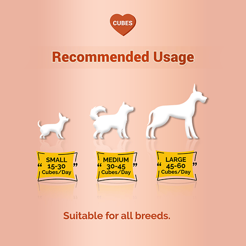 Natural Remedies Treat O'Clock Chicken and Egg Treats for Dogs — back view