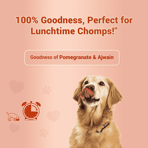 Natural Remedies Treat O'Clock Chicken and Egg Treats for Dogs — detail shot