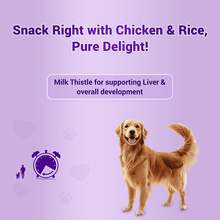 Natural Remedies Treat Oclock Chicken And Rice Treats For Dogs - Image 2