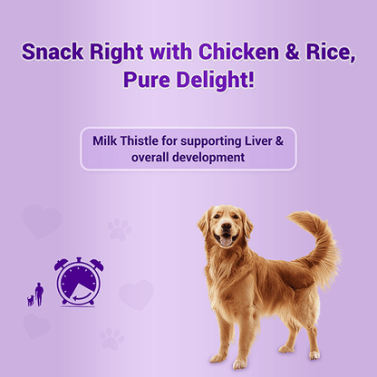 Natural Remedies Treat O'Clock Chicken and Rice Treats for Dogs — side view