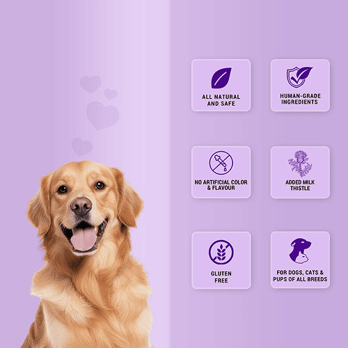 Natural Remedies Treat O'Clock Chicken and Rice Treats for Dogs — back view