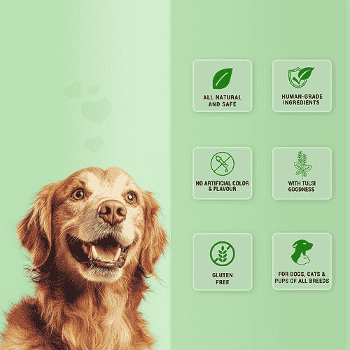 Natural Remedies Treat O'Clock Hemp with Chicken Meat Treats for Dogs — back view