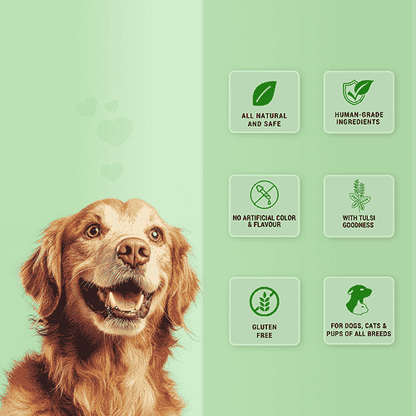 Natural Remedies Treat O'Clock Hemp with Chicken Meat Treats for Dogs — back view