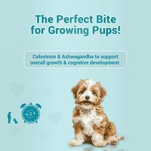 Natural Remedies Treat Oclock Milk With Chicken Meat Treats For Dogs - Image 2