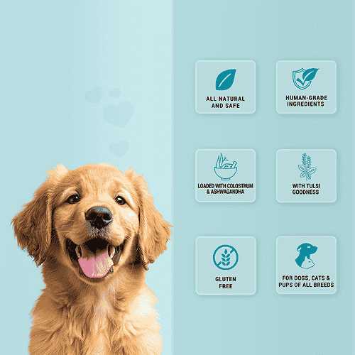 Natural Remedies Treat O'Clock Milk with Chicken Meat Treats for Dogs — back view