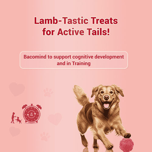 Natural Remedies Treat O'Clock Mutton Treats for Dogs — side view