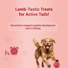Natural Remedies Treat Oclock Mutton Treats For Dogs - Image 2