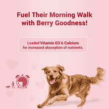 Natural Remedies Treat Oclock Strawberry With Chicken Meat Treats For Dogs - Image 2