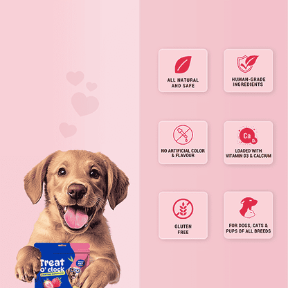 Natural Remedies Treat O'Clock Strawberry with Chicken Meat Treats for Dogs — back view