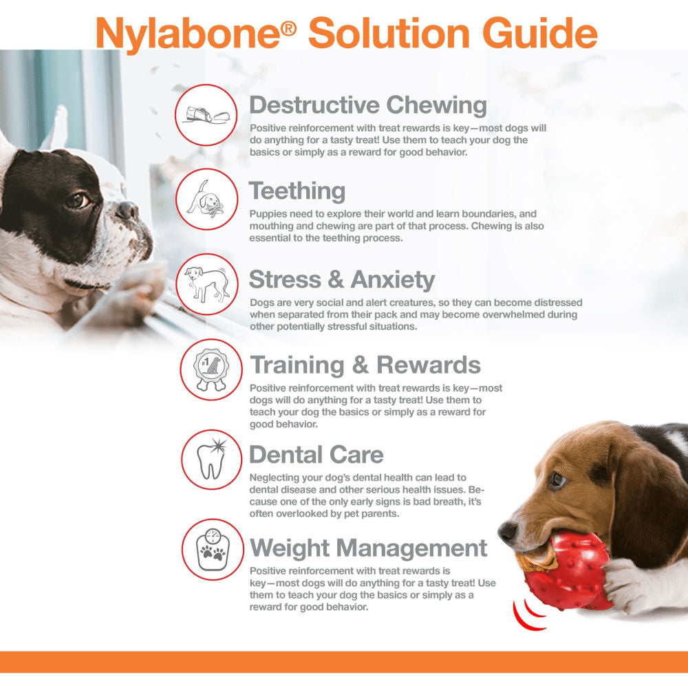 Nylabone Bacon Flavoured Power Chew Bone — detail shot
