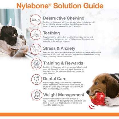 Nylabone Bacon Flavoured Power Chew Bone — detail shot