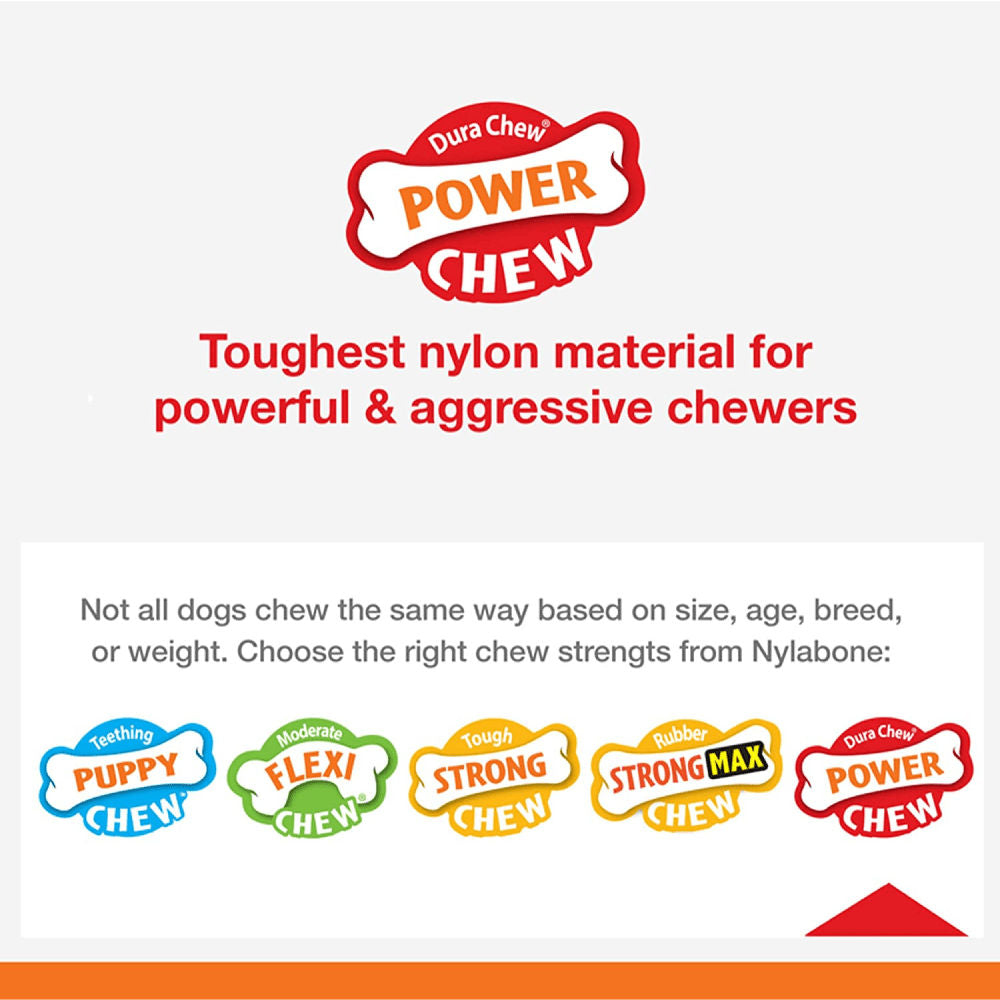 Nylabone Beef Flavored Power Chew Textured Bone — back view