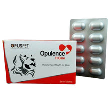 Opus Pet Opulence H Care Tablet For Dogs 60 Tablets - Image 2