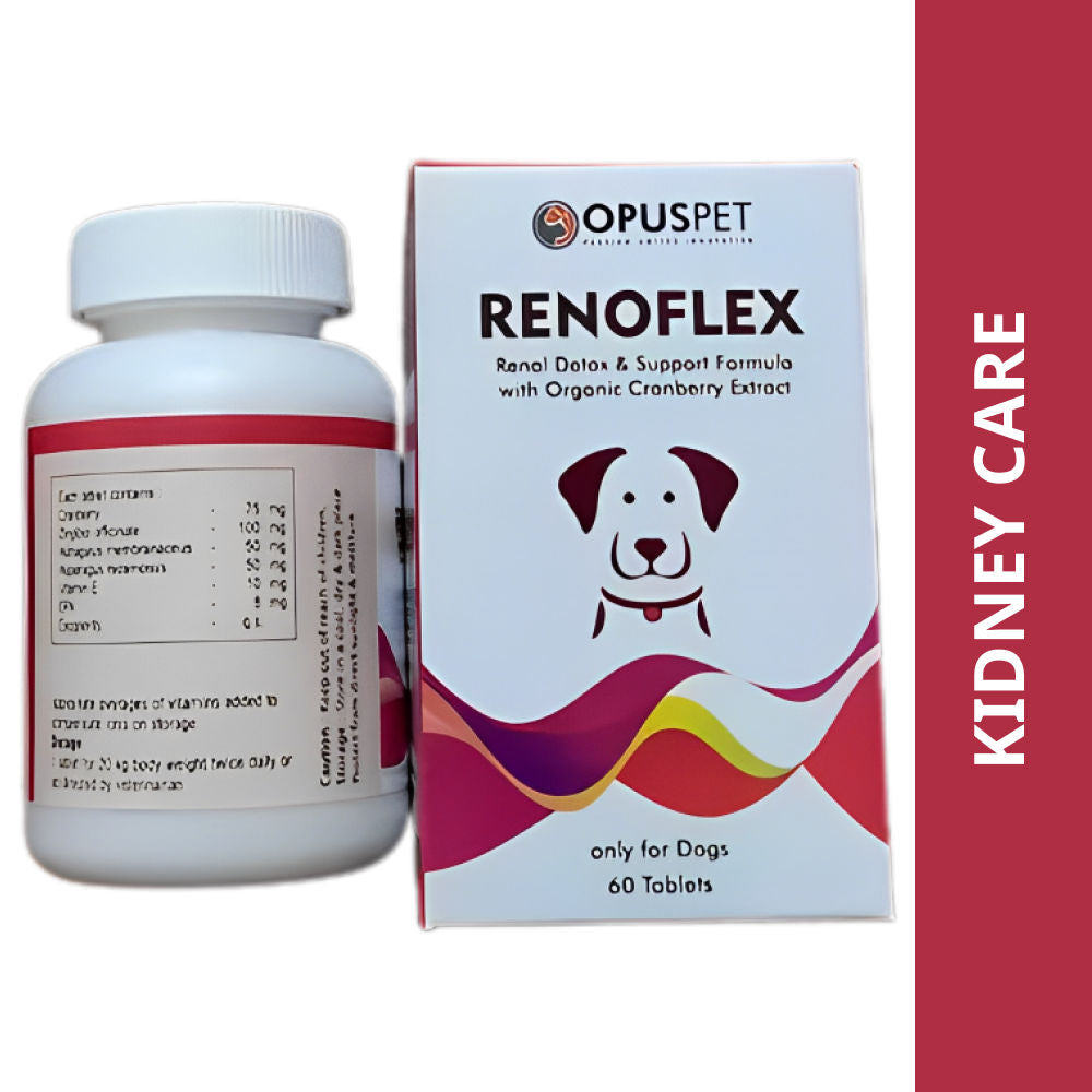 Opus Pet Renoflex Tablet For Dogs 60 Tablets