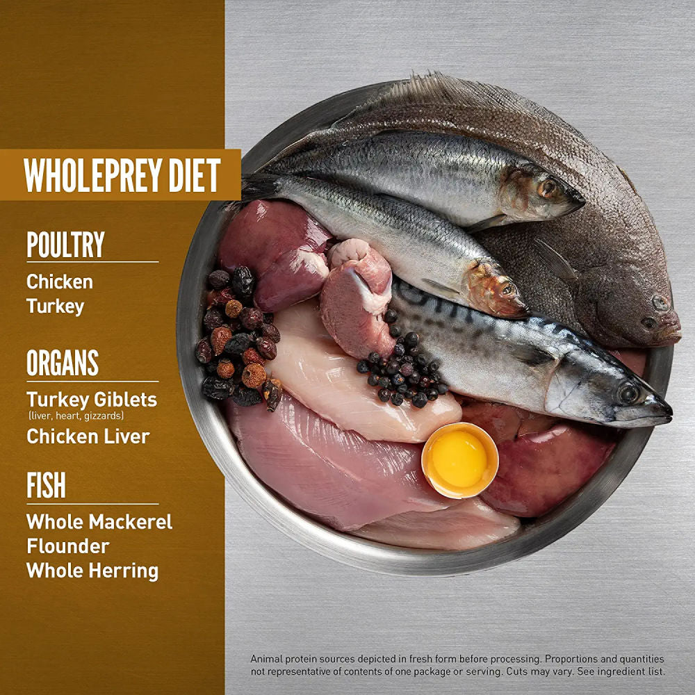Orijen Original Cat & Kitten Dry Food — detail shot