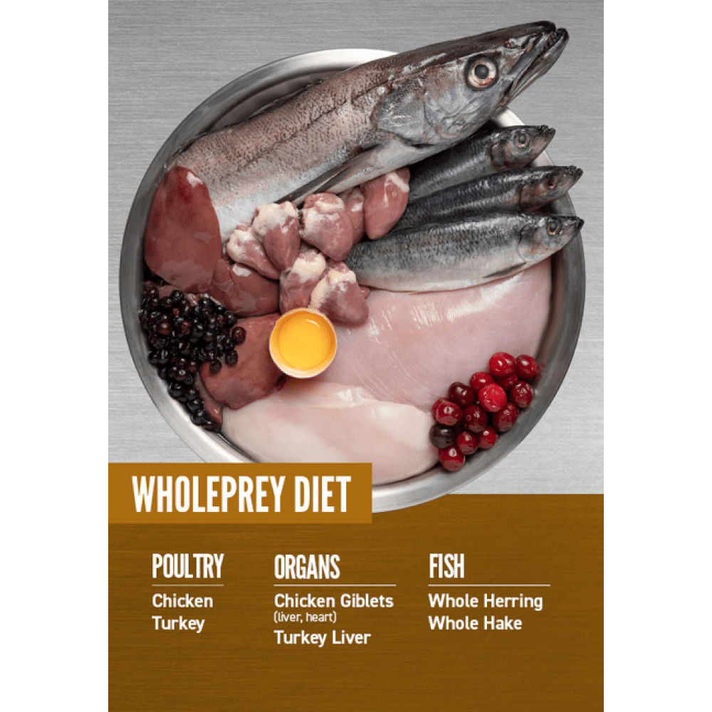 Orijen Puppy Dry Food — in use