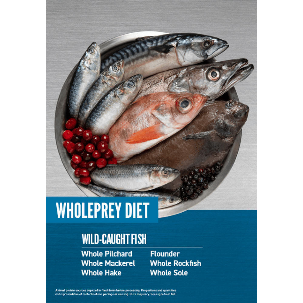 Orijen Six Fish Dog Dry Food — in use