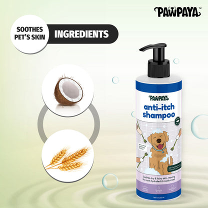 Pawpaya Anti Itch Shampoo for Dogs — in use