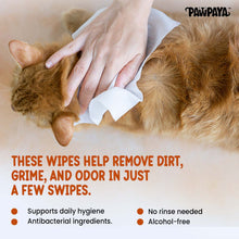 Pawpaya Antibacterial Wipes For Dogs And Cats - Image 2