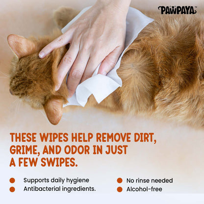 Pawpaya Antibacterial Wipes For Dogs And Cats - Image 2