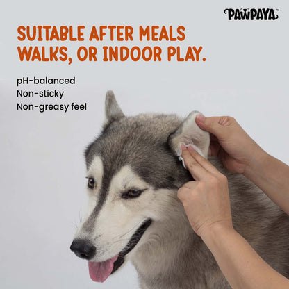 Pawpaya Antibacterial Wipes For Dogs And Cats - Image 5