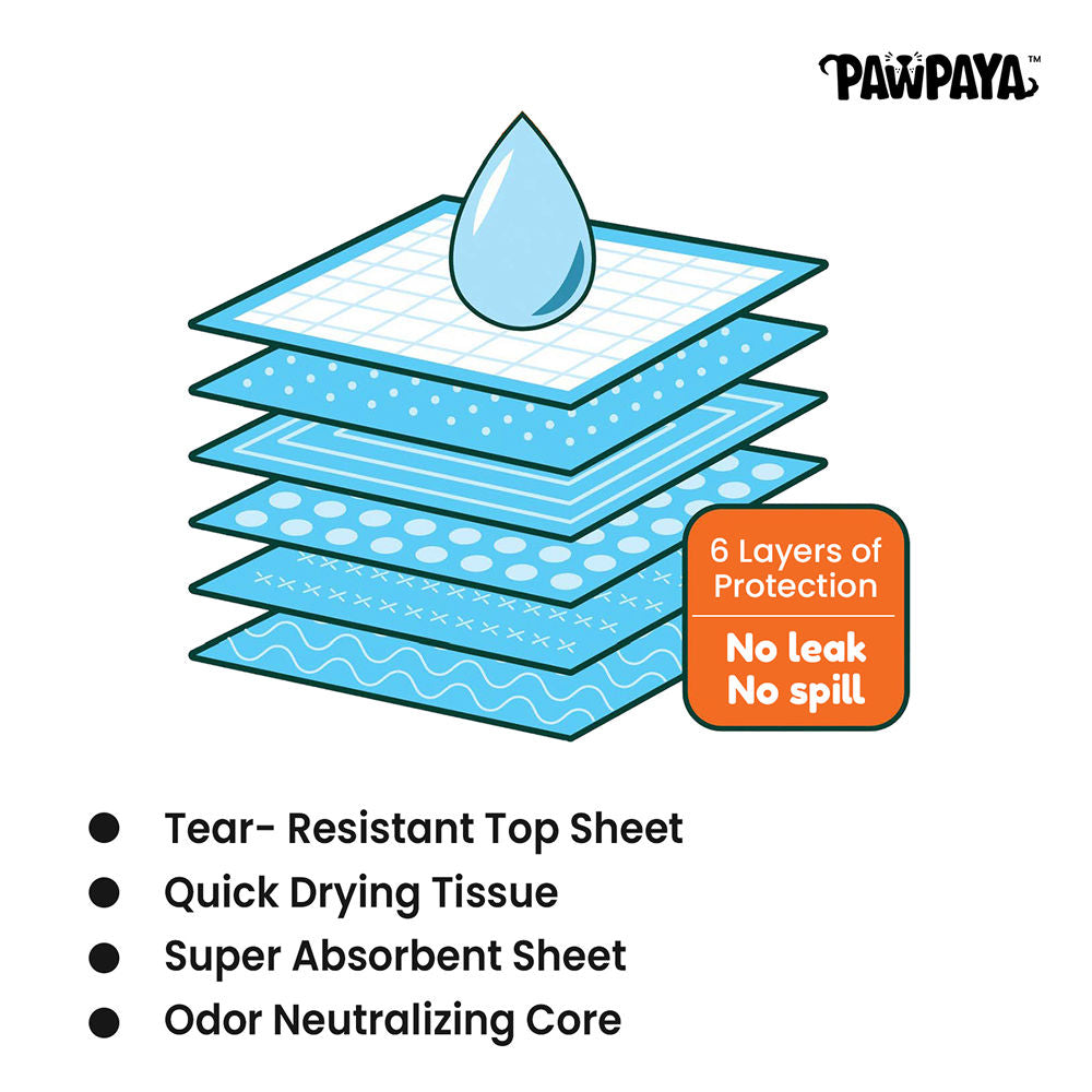 Pawpaya Carbon Training Pad for Dogs — back view