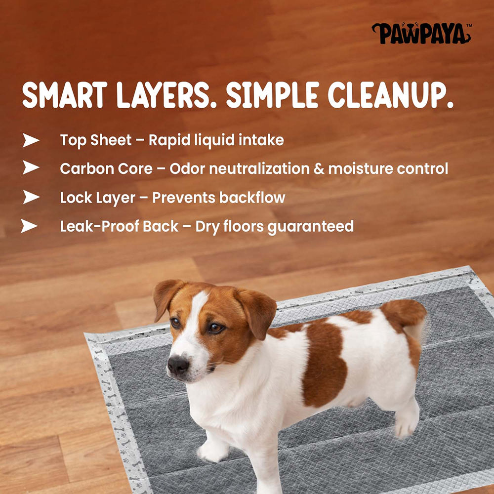Pawpaya Carbon Training Pad for Dogs — detail shot
