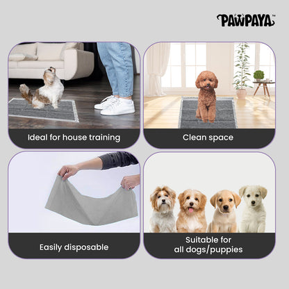 Pawpaya Carbon Training Pad for Dogs — in use