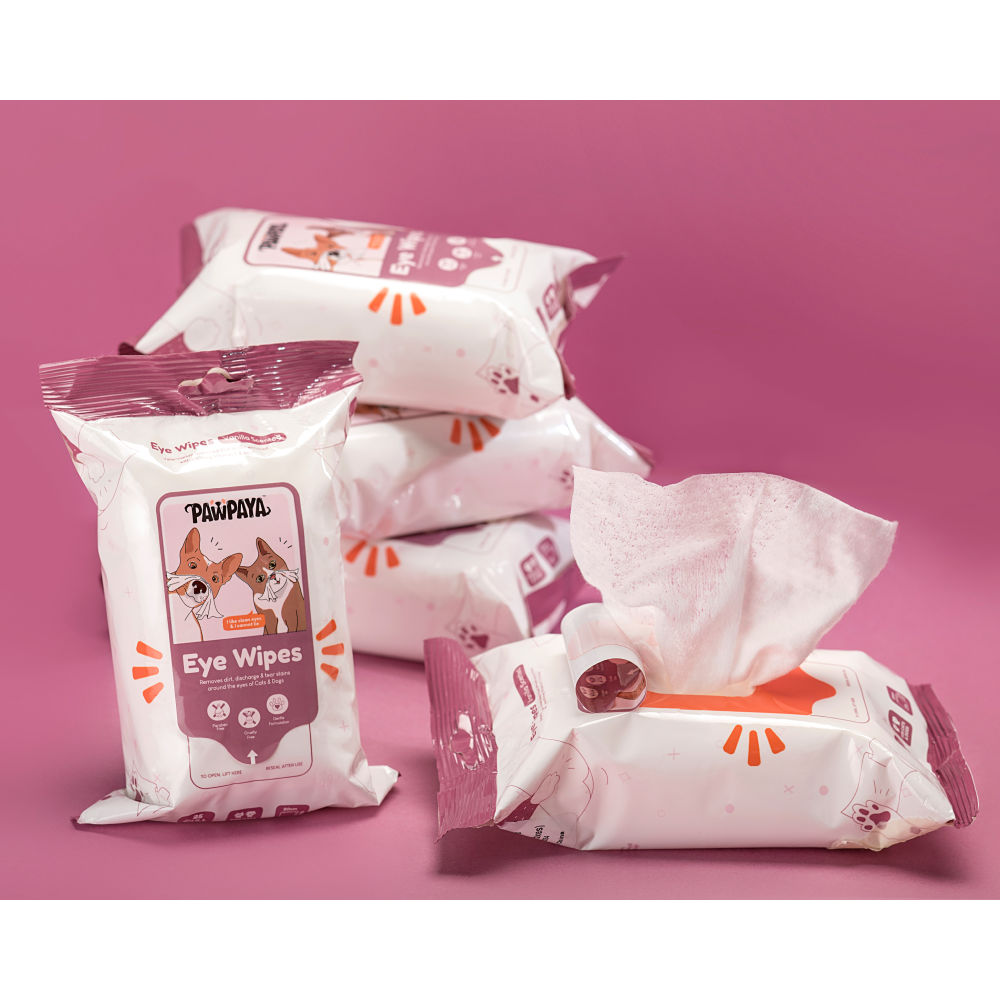Pawpaya Eye Wipes for Dogs and Cats — in use